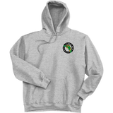 Florida Eels Super Heavyweight Fleece Hoodie