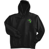 Florida Eels Super Heavyweight Fleece Hoodie