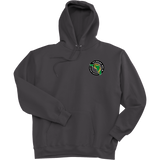 Florida Eels Super Heavyweight Fleece Hoodie